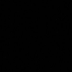 Meet your Posher, Jacqueline